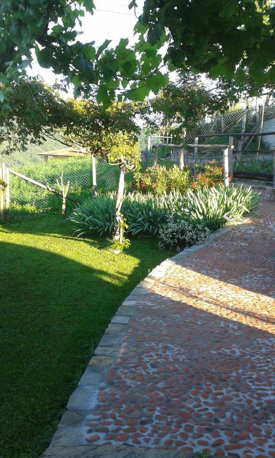 Paroldo Magiche Langhe B&B 외부 사진